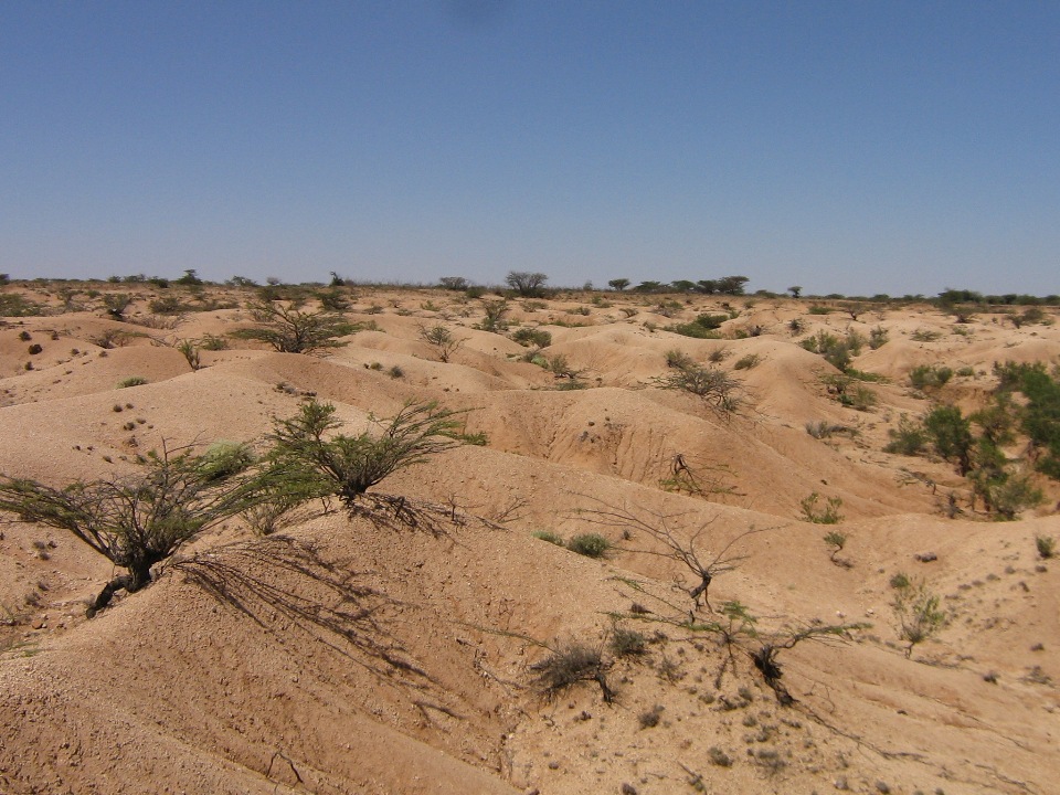 Figure: Bad lands (severe soil erosion) due to land degradation in Northern Somalia
